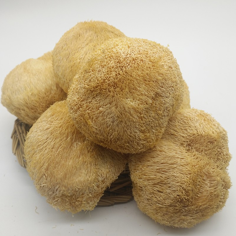 猴头菇干货新货 东北野生补品食品 长白山猴头菇250g/袋